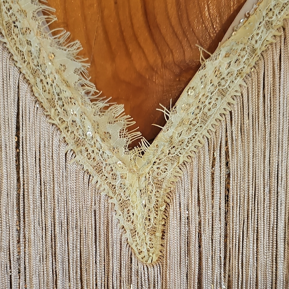 Nude and Gold Sequin Fringe Party Dress - Size Large - Picture 6 of 12